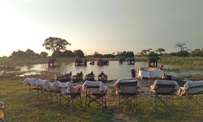 Luxusreise, Safari, Afrika, Botswana, Elefanten, Okavango