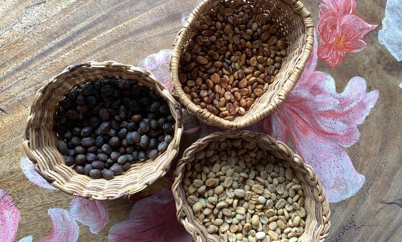 reise in die Kaffeeregion Kolumbien Quindio
