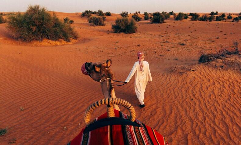 luxusreisen wüste dubai