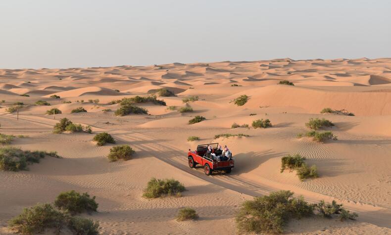 Das Dubai Desert Conservation Reserve ist der erste Nationalpark der Vereinigten Arabischen Emirate. luxus 4x4 Wüstensafari Dubai