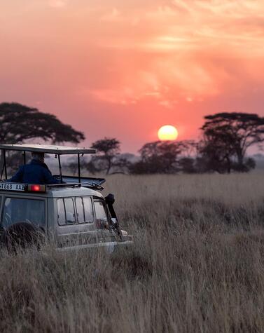 Luxus-Safari-Reise nach Afrika, Botswana