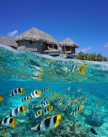 romantisch luxusreisen abgelegene inseln französisch polynesien