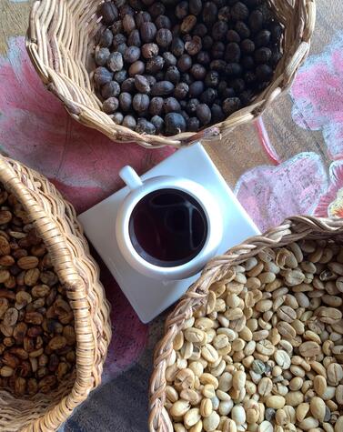 reise in die Kaffeeregion Kolumbien Quindio