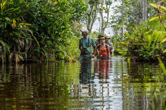 Wir gehen schweigend und im Gänsemarsch in die vom Führer angegebene Richtung. luxus-Gorilla-Trekking-Reise in Ruanda
