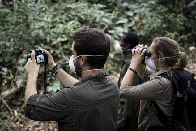 Während des Trekkings ist es notwendig, eine Maske zu tragen, um die Gorillas zu schützen. luxus-Trekkingreise Berggorillas in Ruanda
