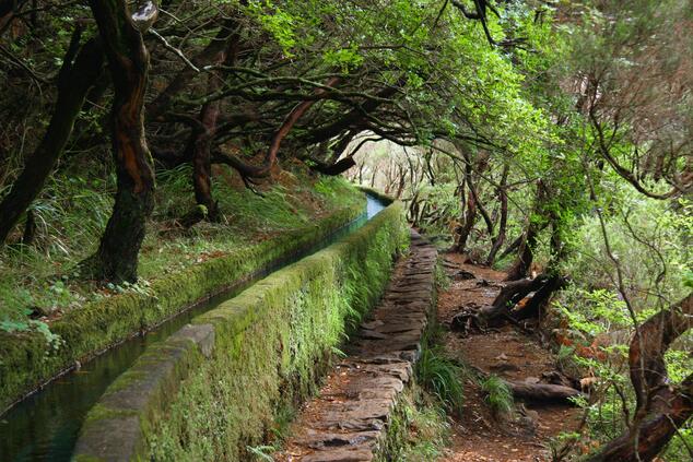 Auf Madeira gibt es mehr als 2.000 Kilometer Levadas, ein Kanalsystem, das dazu dient, Wasser vom Norden in den Süden der Insel zu transportieren. Foto: Joexx. luxusreisen madeira levada