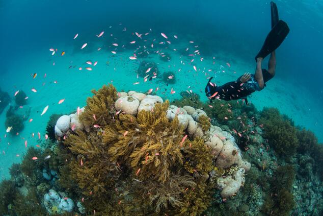 papua-neuguinea fernreisen