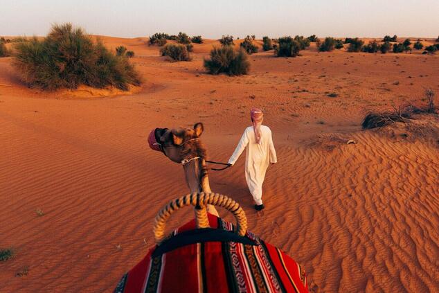 Kamele sind seit jeher treue Begleiter und unverzichtbare Tiere für die Wüstenbeduinen. luxus 4x4 Wüstensafari Dubai Kamel