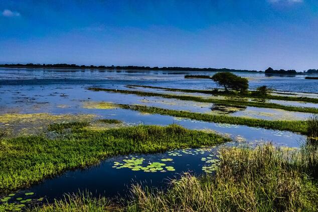 Der Everglades-Nationalpark umfasst eine Fläche von mehr als 6.000 km2. Foto: Jayesh Patil. everglades national park vereinigte staaten