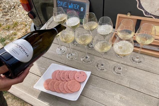 picknick im Weinberg Kekse Rosen Fossier