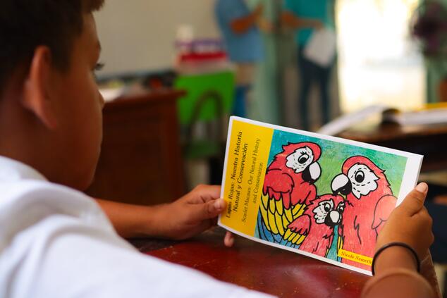 Bücher zur Umwelterziehung in Schulen
