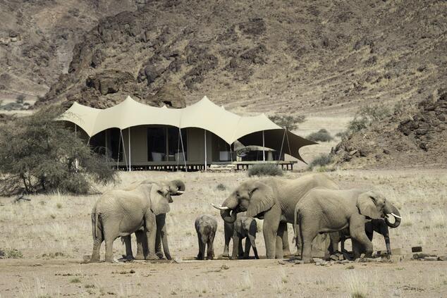 Hoanib Costa Skelette. Safari Namibia.