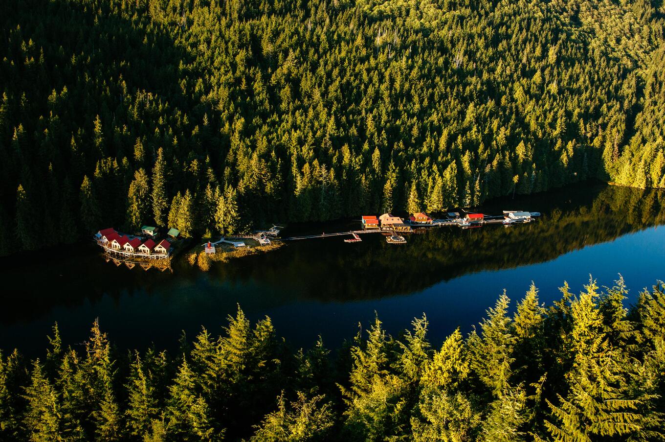Auf Vancouver Island befindet sich einer der ältesten Nadelwälder der Welt. abgelegene luxusreisen britisch-kolumbien kanada rocky kanada
