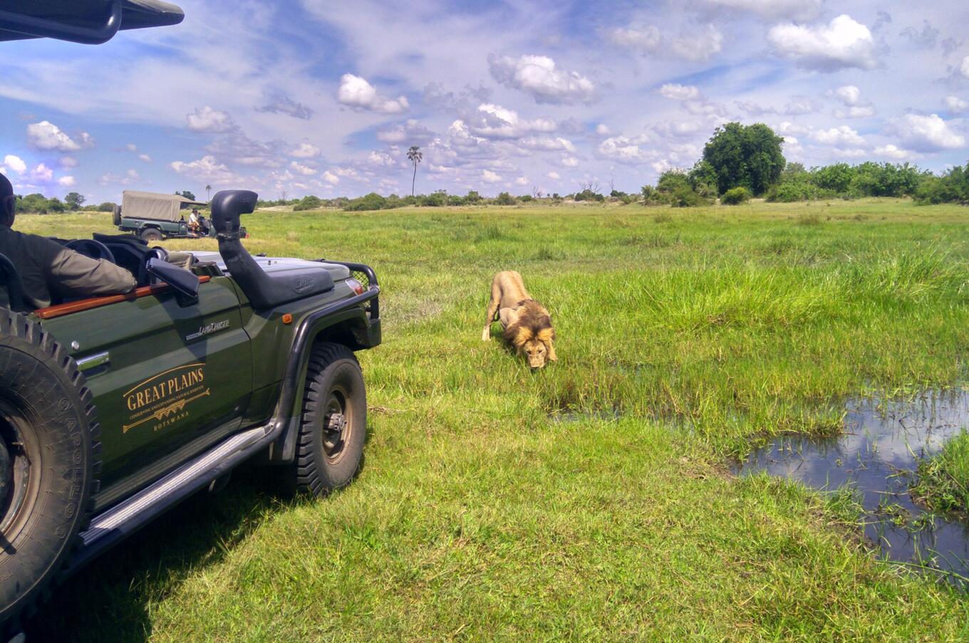 Luxusreise nach Afrika, Botswana, Safari im Okavango-Delta