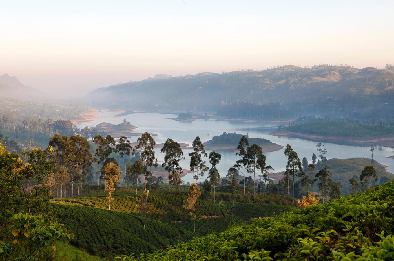 Der Castlereagh-See ist von den Bungalows umgeben, in denen früher die Vorarbeiter der Teeplantagen lebten und die heute zu luxuriösen Lodges umgebaut wurden. luxusreisen sri lanka insel natur castlereagh see