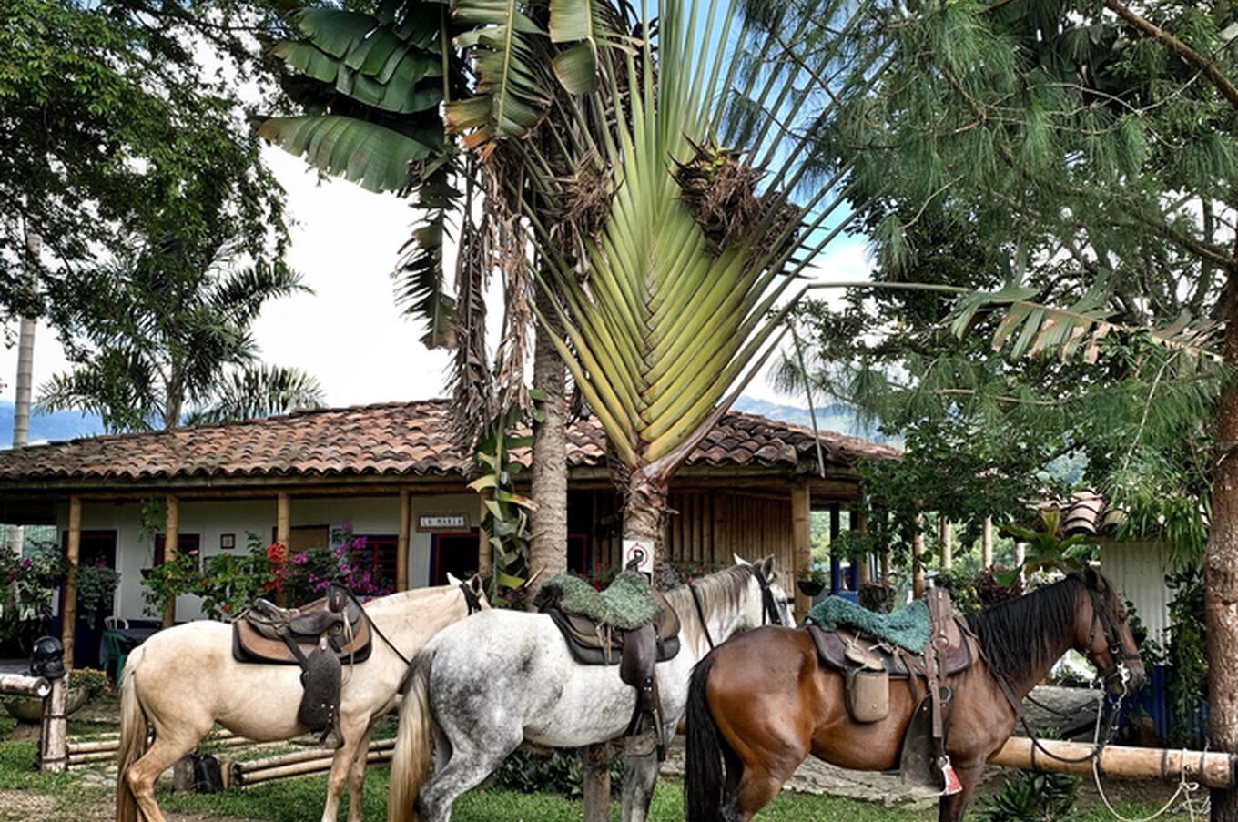 luxusreisen Kolumbien hacienda bambusa