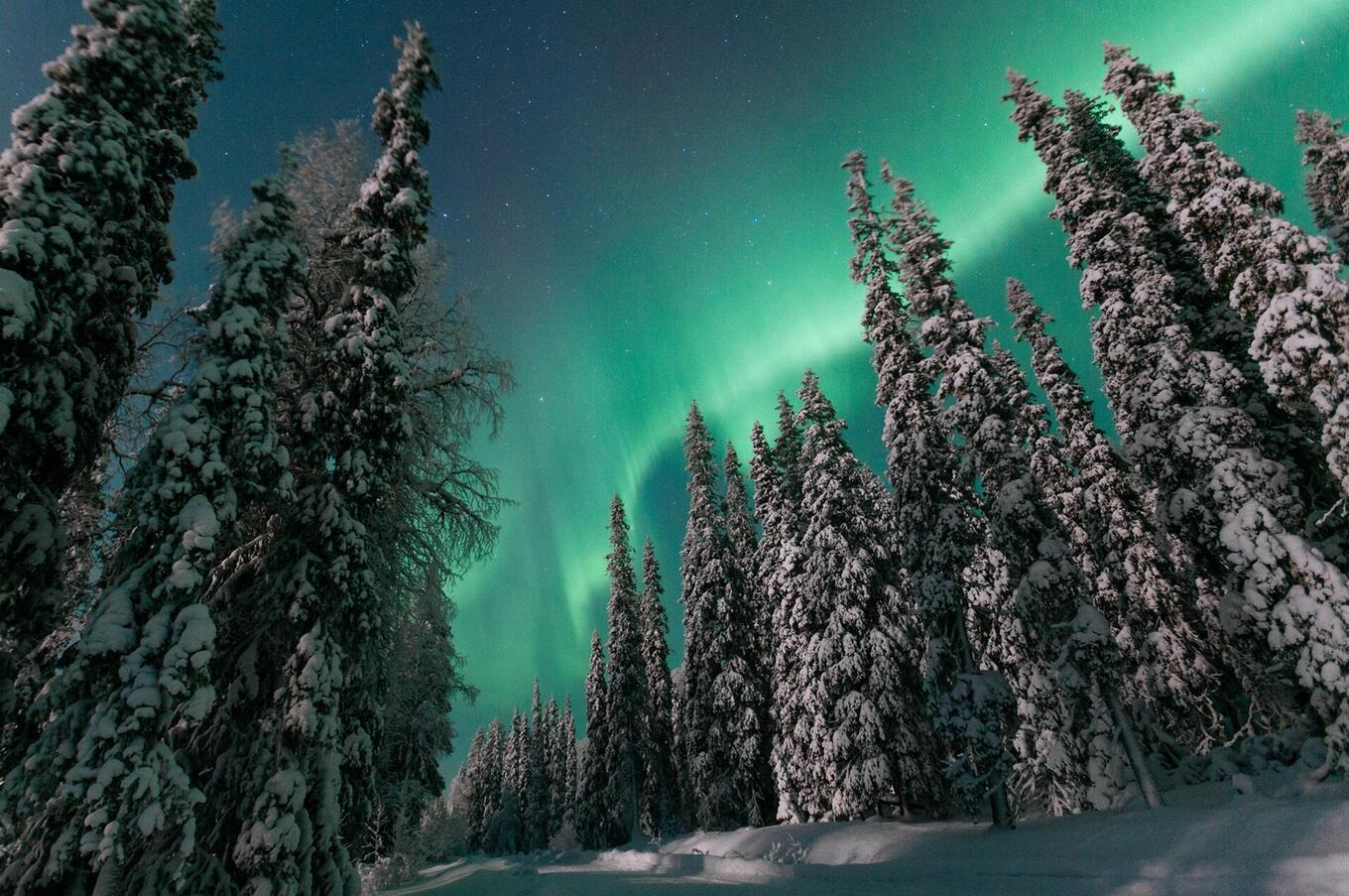 Polarlichter entstehen, wenn Teilchen von Sonneneruptionen mit der Erdatmosphäre in Kontakt kommen. luxus-nordlichtreise schweden