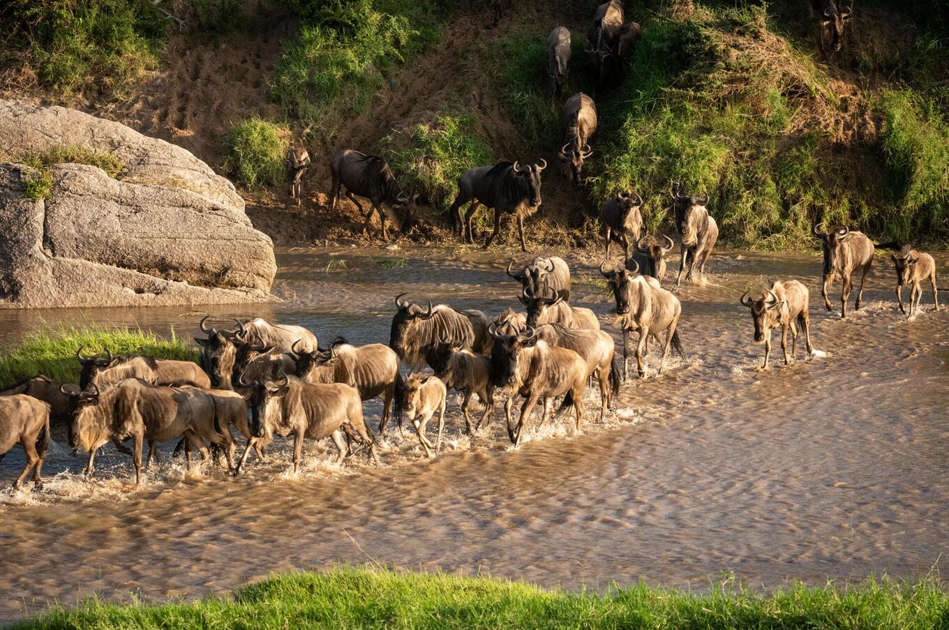 cottar's safari camp kenia masai mara