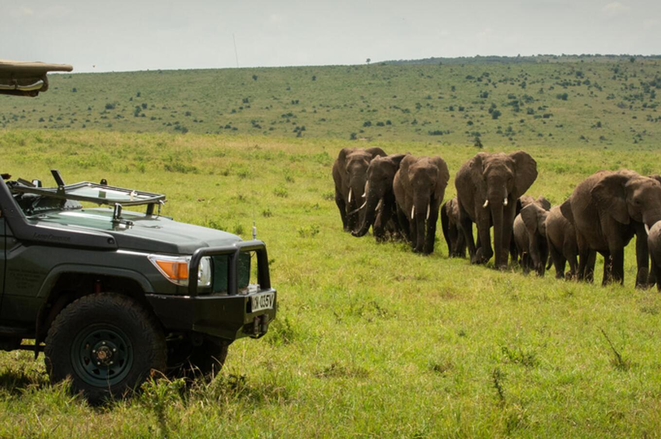 cottar's safari camp kenia masai mara