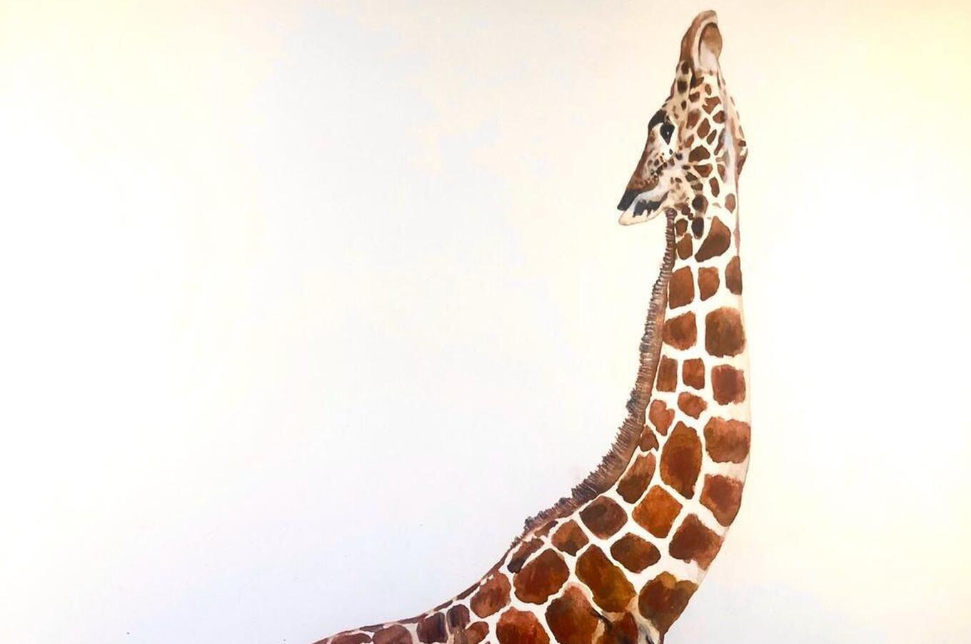 Jordi Serrallonga unsichtbare Tiere