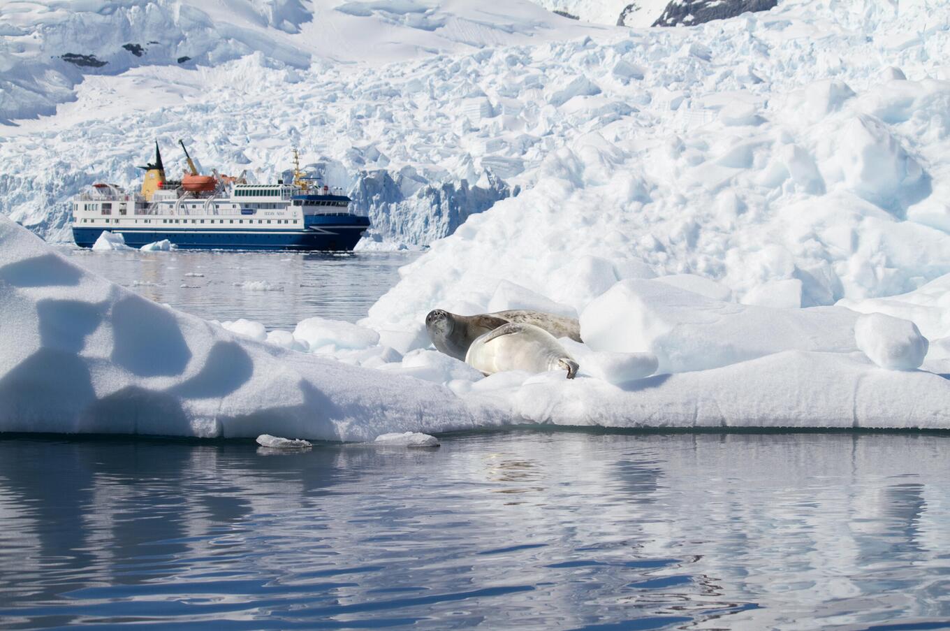 luxus-Antarktisreise magellan explorer air cruises