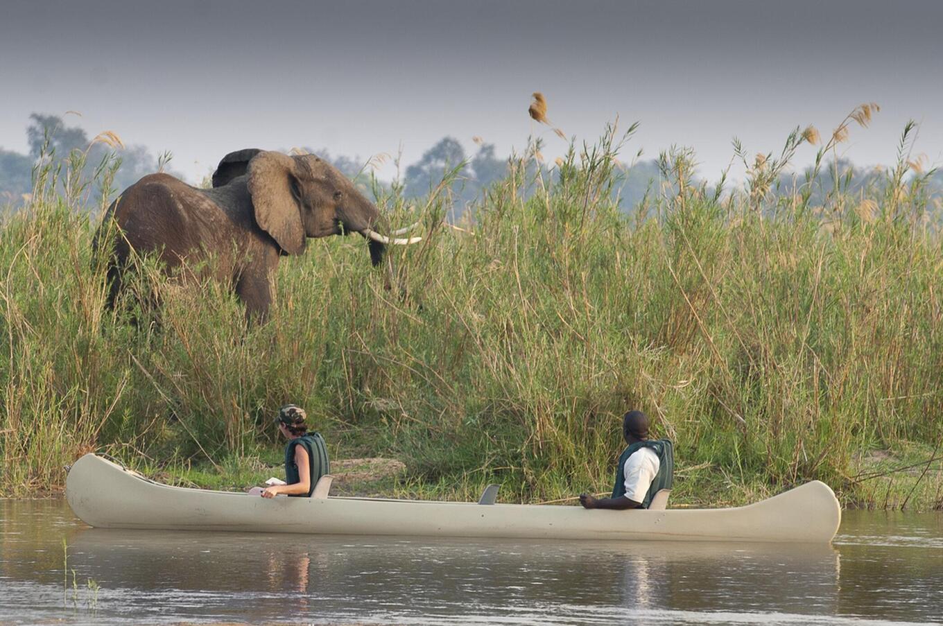 Eine Safari vom Wasser aus bietet eine einzigartige Perspektive.