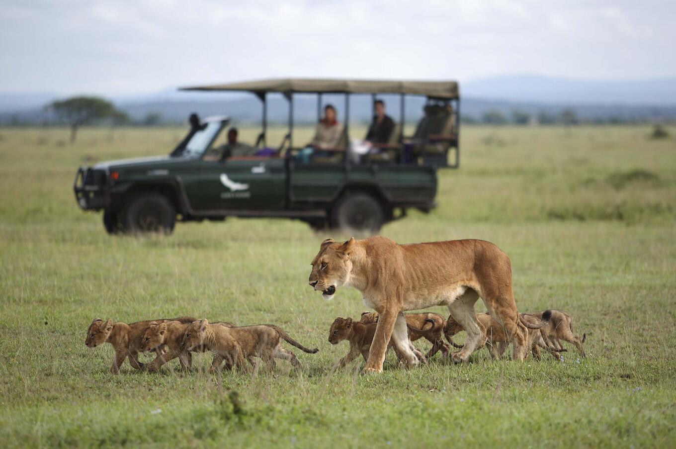 Serengeti River Lodge und darüber hinaus