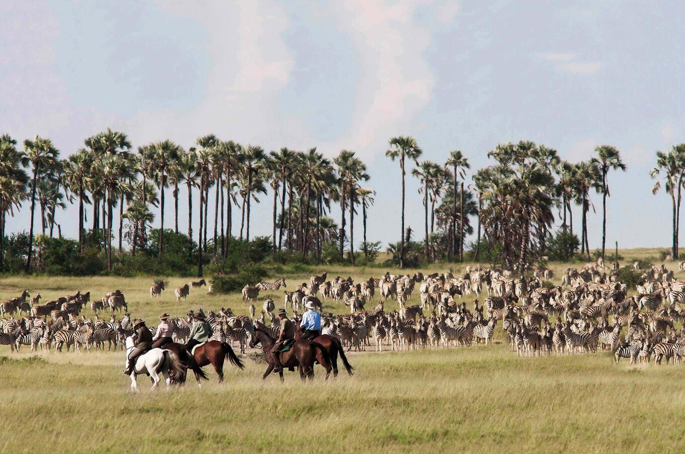 Reitsafari in der Makgadikgadi-Salzpfanne