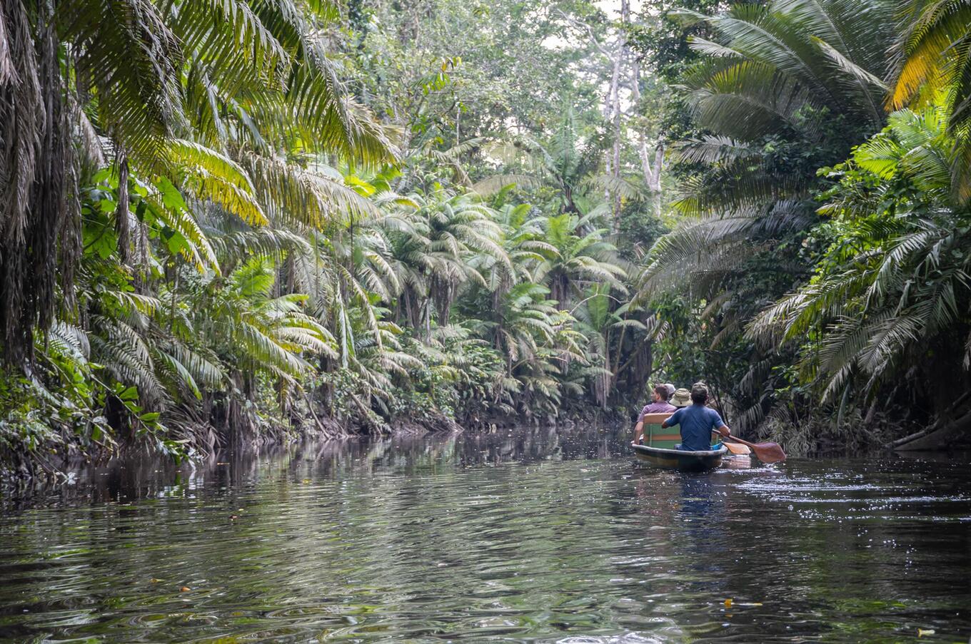 Lebendige Natur im Napo Wildlife Center
