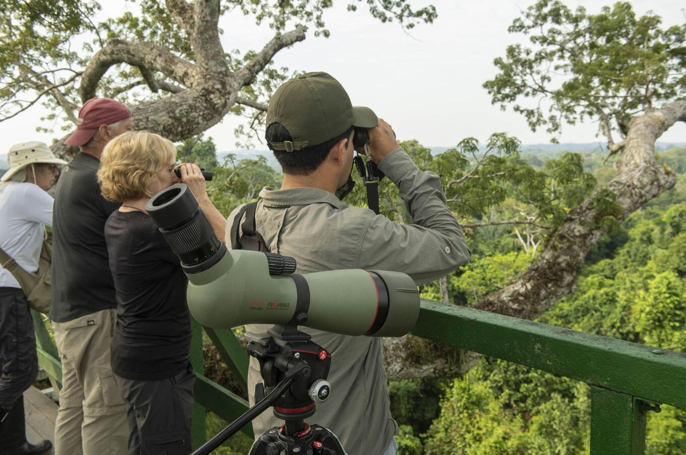 Lebendige Natur im Napo Wildlife Center