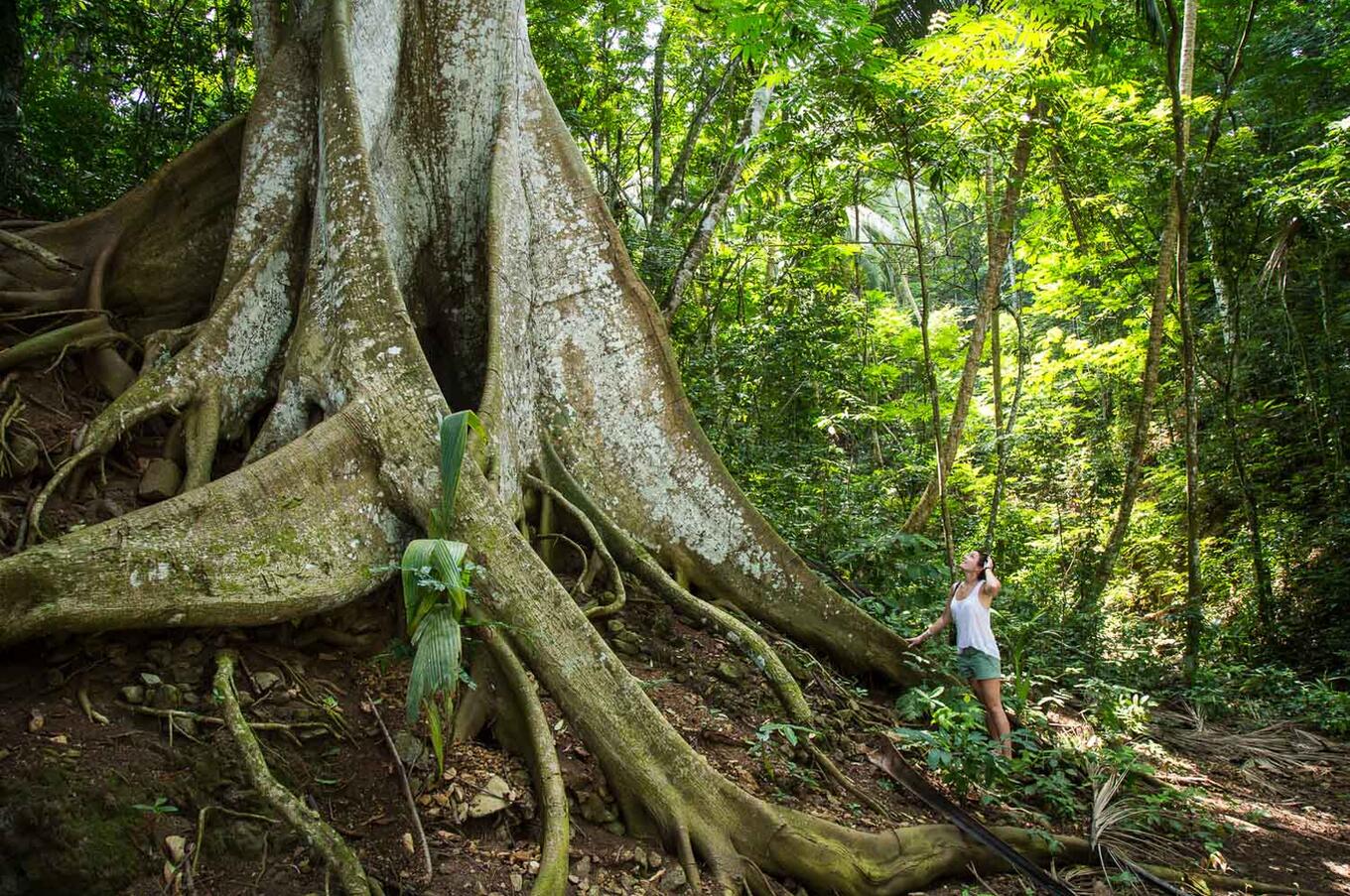 Die Natur beeindruckt nach wie vor, so wie sie vor 600 Jahren entdeckt wurde. Foto: Scott Ramsay.