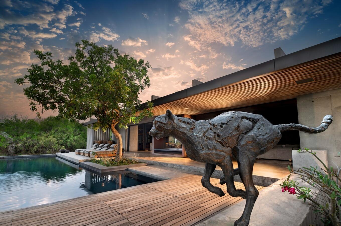 Foto: Cheetah Plains