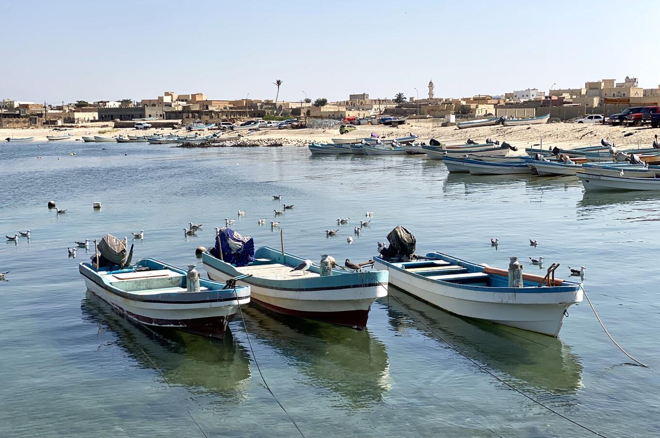 Die starke Stadt Mirbat war Teil der alten Weihrauch- und Myrrhenstraße, die durch den Süden des Landes nach Petra und Damaskus führte. entlegene luxusreisen oman mirbat salalah