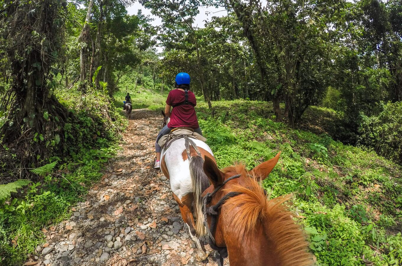 Reiten in Costa Rica