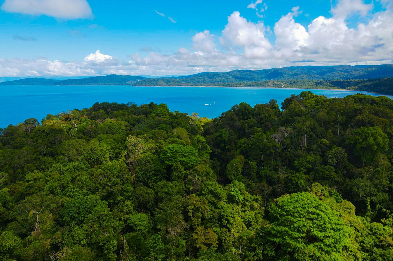 Drake Bay. Foto: Florian Delee.