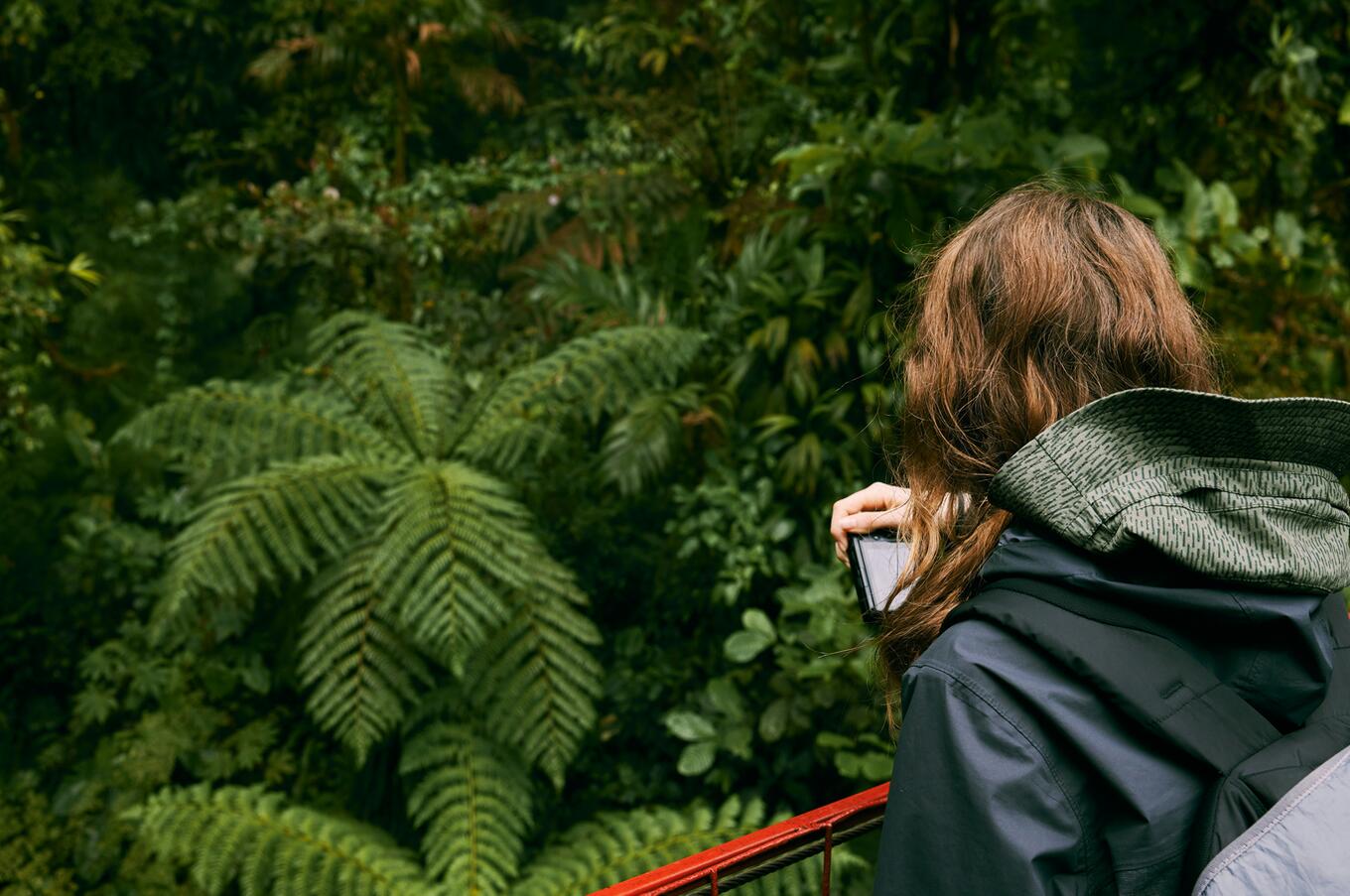 Eine der Hängebrücken von Monteverde. Foto: Natalia Blauth.