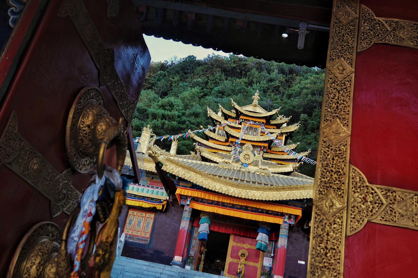 China-Teeroute-Yunnan-Tibet