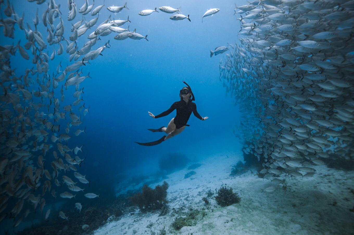 Raja Ampat, Indonesien, Papua Tauchen