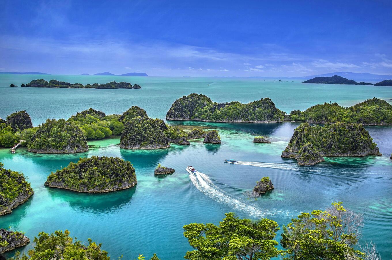 Raja Ampat, Indonesien, Papua Tauchen