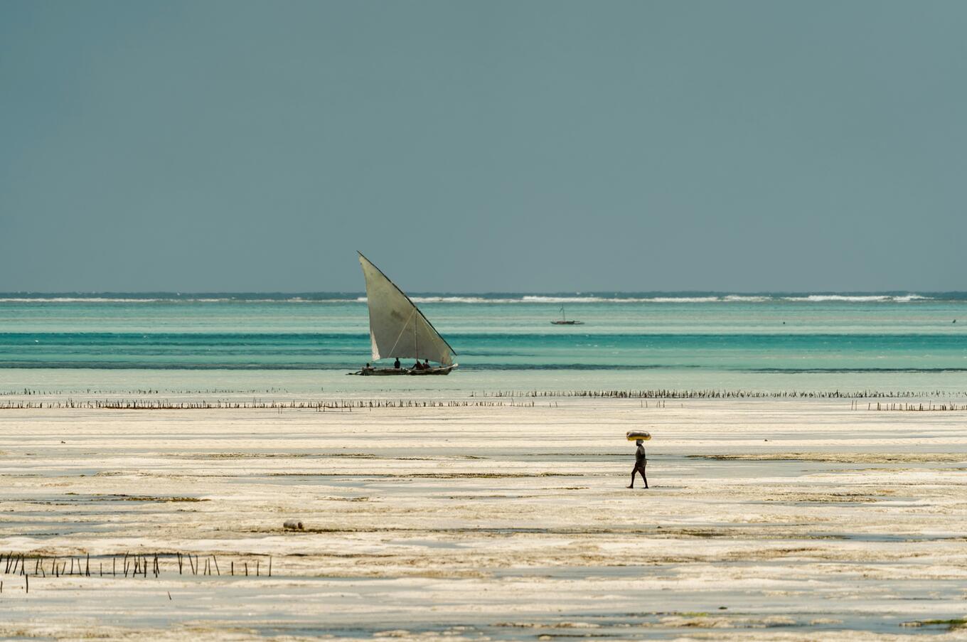 Foto: Aron Marinelli