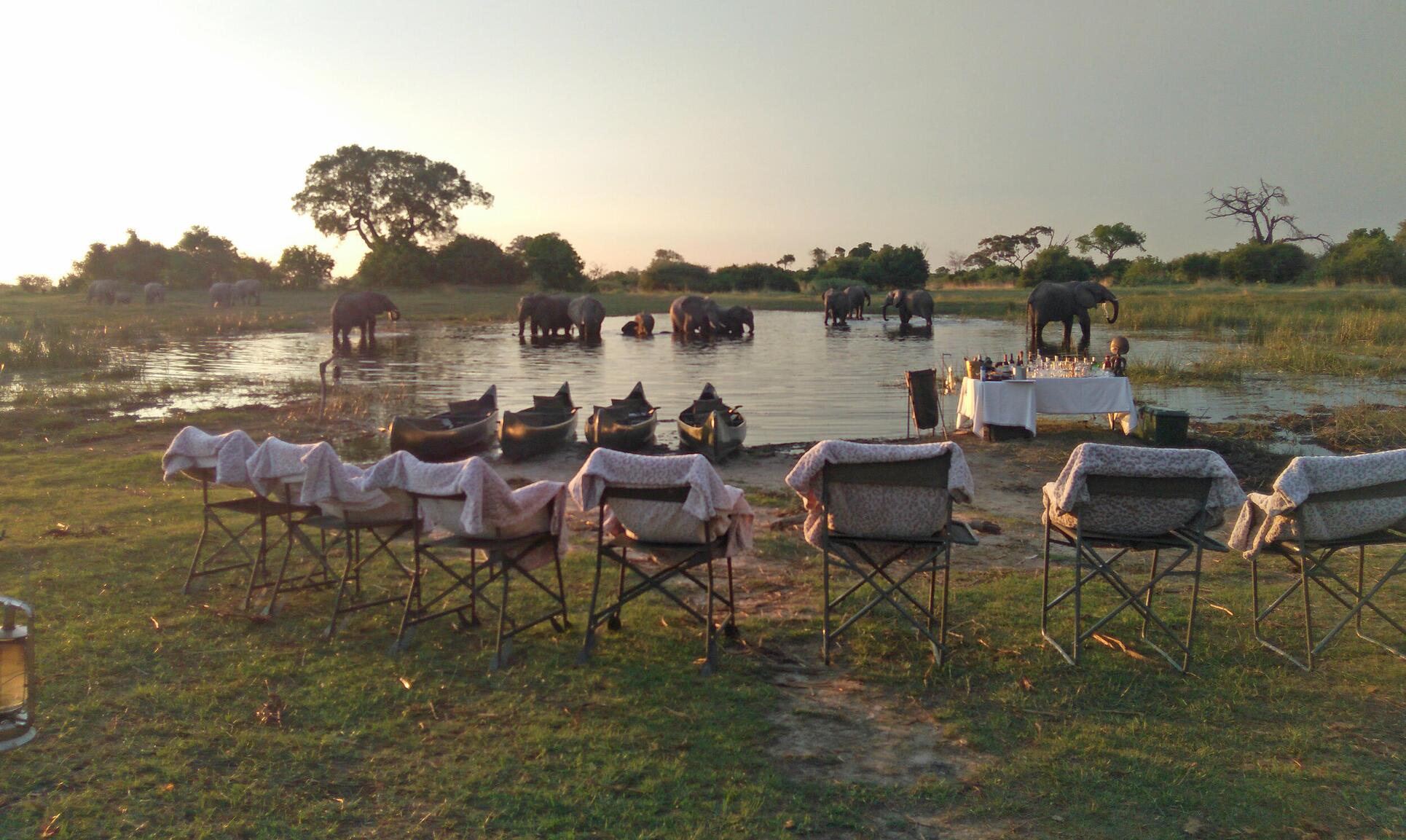 Luxus-Safari-Reise nach Botswana, Afrika
