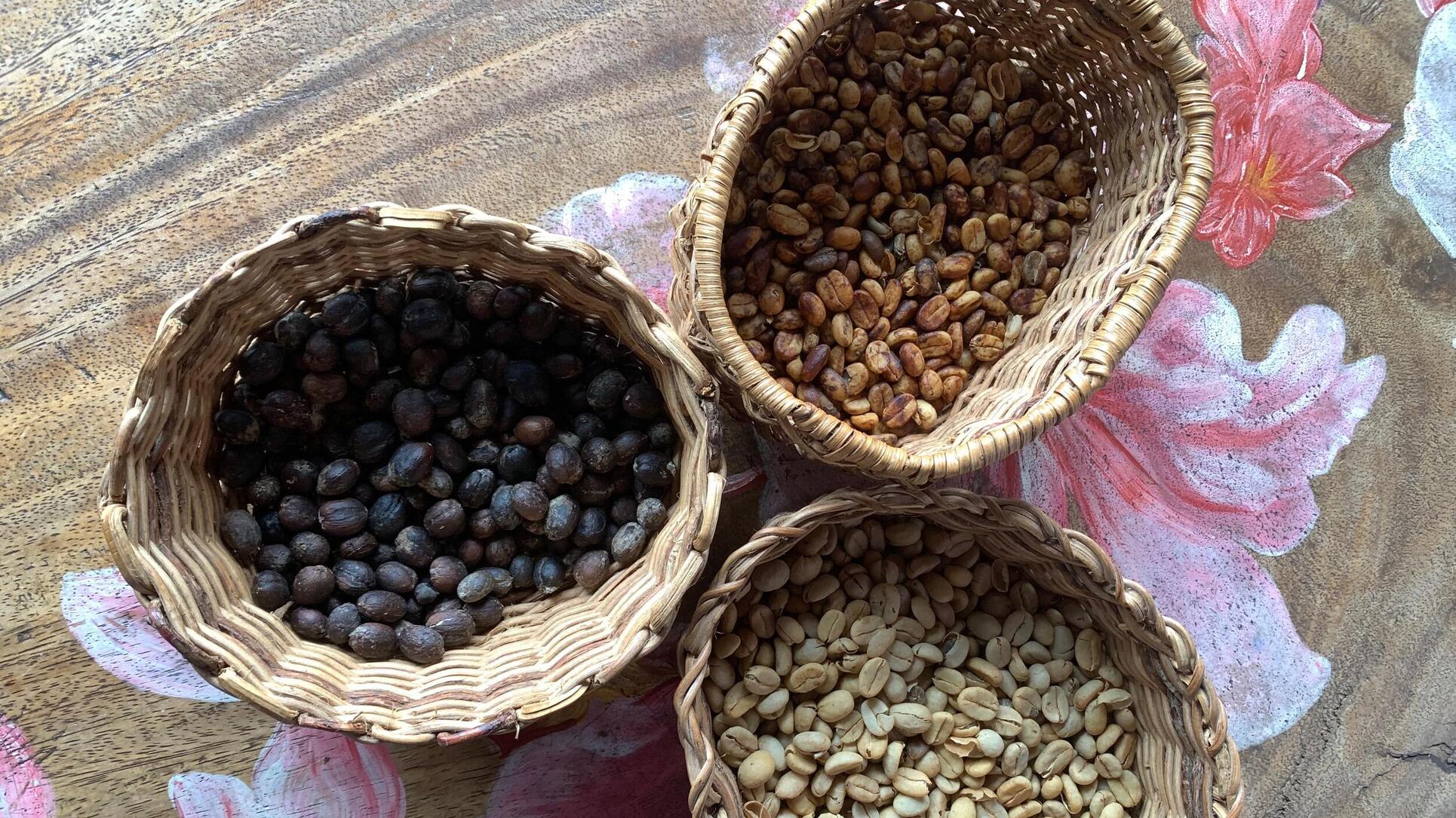 reise in die Kaffeeregion Kolumbien Quindio