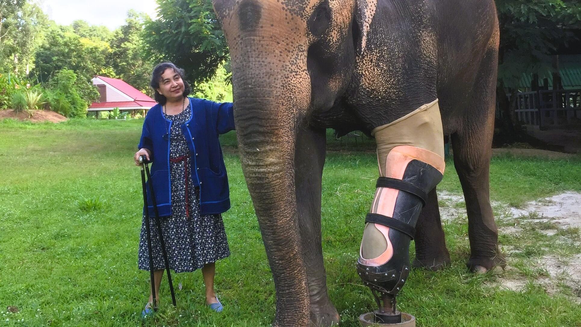 Soraida Salwala Elefantenkrankenhaus Thailand