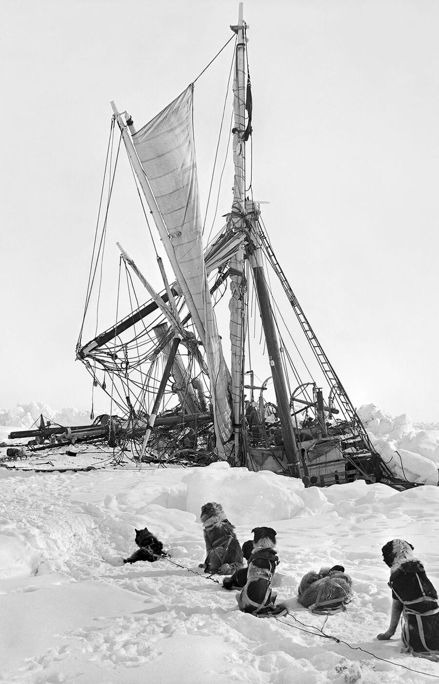 Der von den Eisschilden ausgeübte Druck zerstörte das 40 Meter lange Schiff und verschlang es schließlich. ausdauer ernest shackleton antarktis
