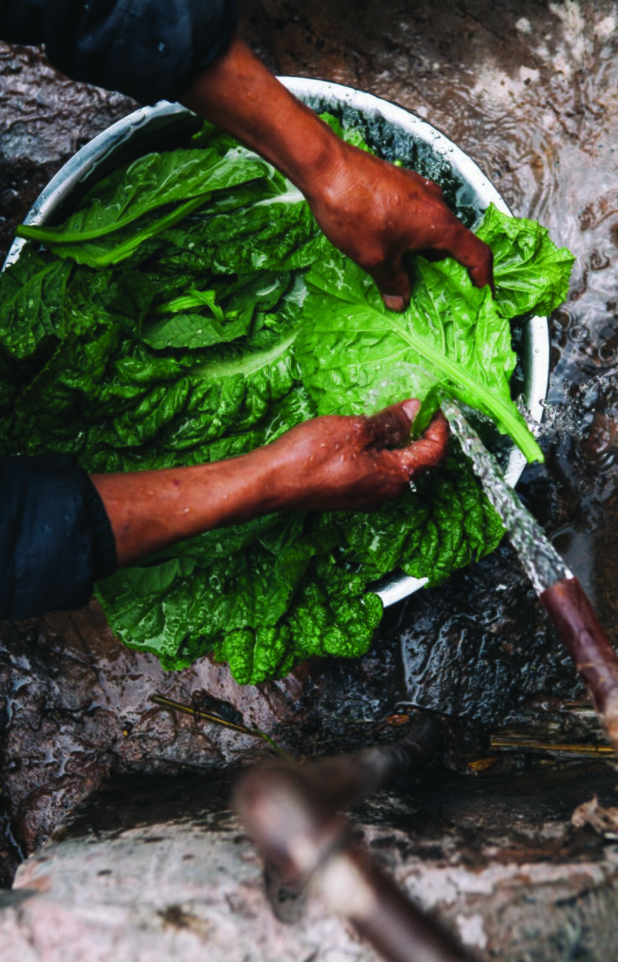 In einem Dorf in Yunnan beginnt das Ritual mit kaltem Wasser und frischen Blättern. Chinesische Küche, in ihrer reinsten Form. Yunan Fuchsia Dunlop Chinesische Küche